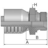 Male BSP Parallel Pipe - Rigid - (60 Cone) - Straight - 43 Series Fittings